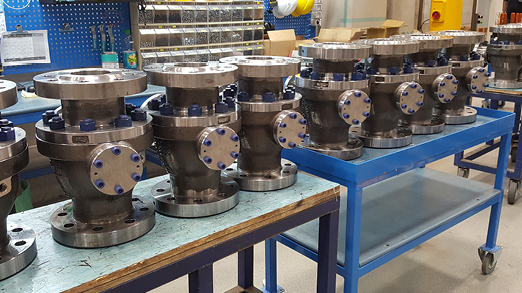 Trunnion mounted ball valves